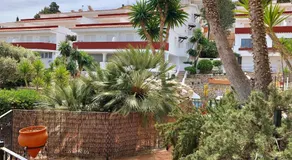 Los Palmitos Peñiscola - Image 5
