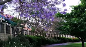 Lovely granny flat - Image 3