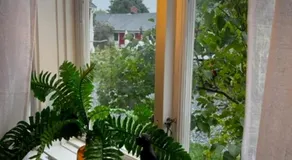 The Guest House. - Image 4