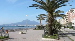 Al Papavero Rosso - Image 5