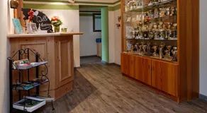 Haus Alpenecho - Image 3