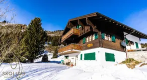 Haus Chämihitta, Riederalp Moosfluh - Image 3