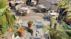 Llandudno apartment, quirky pub with tropical beer garden - Image 5