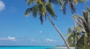 Chez Taia - Image 5