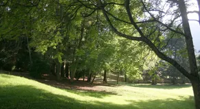 L'Albarande - Image 4