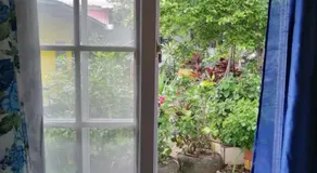 DepasoPty - Image 4