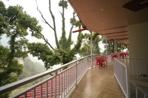Kedar Greens - Image 4