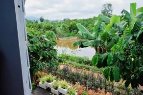 Farm Stay Accommodation - Image 5