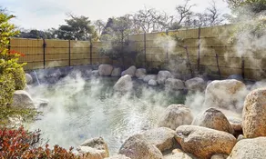 Yunoyama Onsen Yumoto Green Hotel - Image 4