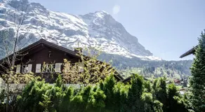 ❤️Chalet Dolphin. neu ❤️ - Image 5
