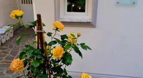 MARILISE - La maison blue private garden & terrace - Image 3