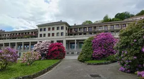 La tana del ghiro Valdilana - Image 2