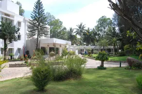 Hassan Ashok - Image 5