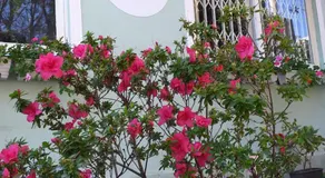 Pousada do Parque - Image 4