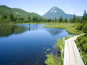 Kokun Kekun - Image 5