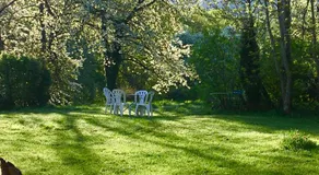 Le pré aux clercs - Image 5