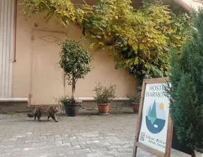 Harmony Old Town Hostel - Image 5
