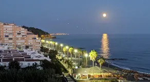 ALGARROBO-COSTA - Image 3