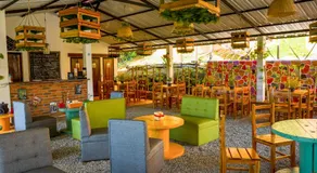 Ecodreamers Curiti - Image 3