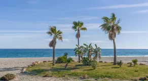 Brisa y Mar - Image 5