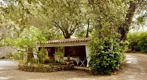 B&B Le Niaouli - Image 5