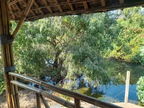 The Brook Ville - Image 3