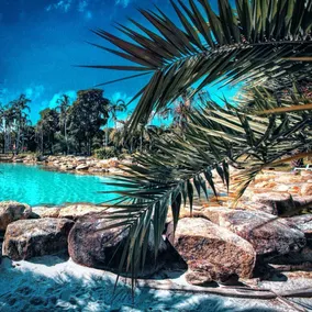 Ohana Resort and Restaurant - Image 4