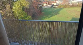 Ivy house - Image 3
