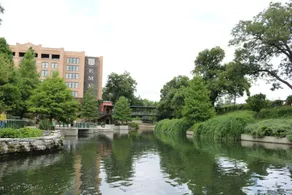 Beautiful Fenced 3BR 2BA Near Exciting Downtown - Image 3