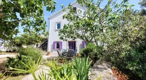 Casa di Castello - Image 2