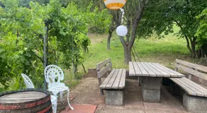 Vine Cottage - Image 5