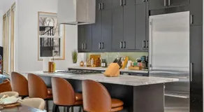 Upscale DC Row Home with Parking and Fire Pit - Image 3