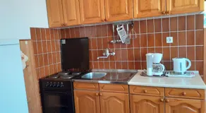 Pet Friendly Apartments Simunec - Image 5