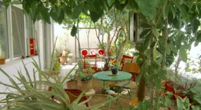 Popy Apartments - Image 2