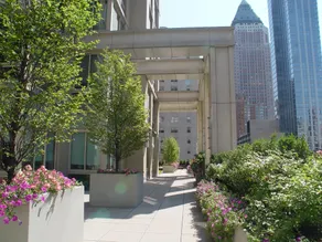 The Marc - Image 5