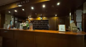 Mátyás Király Gyógy- és Wellness Hotel - Image 5