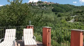 Agriturismo La Villa - Image 3