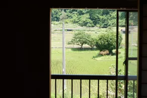 186.Haza - Image 3