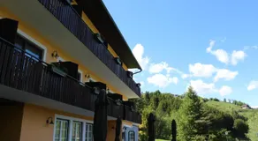 Pension Waldhof am Stubenbergsee - Image 3