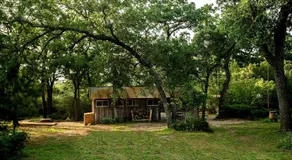 Scenic Glamping Tent Stay with Cozy Lounge Space in Smithville, Texas - Image 4