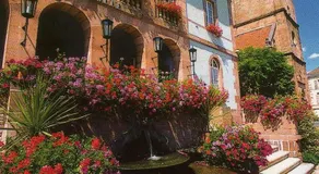 LES HORTENSIAS - Image 4