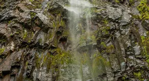 Royat 64 - Image 3