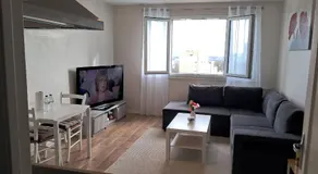 Appartement T2 cosy - Image 2