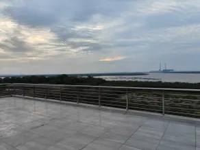 yolo  295 - Image 5