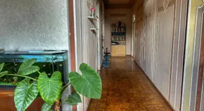Guest House - Image 3