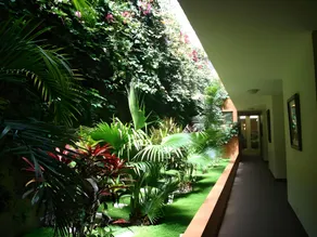 Hotel Meliana - Image 4