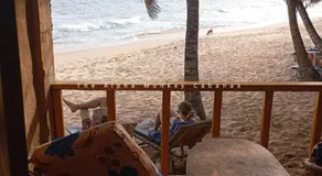 The Alpha Monkey hotel & Tree house - Image 4