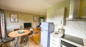 Birch Lodge 14 with Hot Tub - Image 3