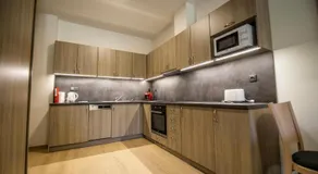 Apartmány pod Jeřábem, Šanov 67, Červená Voda - Image 3