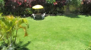 Canto dos Pássaros Apartamentos - Image 3